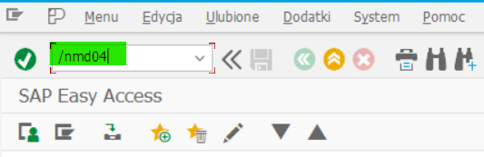 SAP transaction window - tothepypoint.pl - Automatyzacja procesów